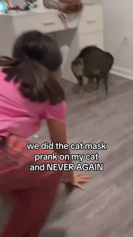 the last one#cat #unitedstatesofamerica🇺🇸 #unitedstates #usa🇺🇸foryou🔥🔥🔥 #cats 