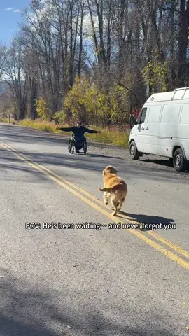 Years pass, love stays ❤️ #dog #old #Love #foryou #fyp 