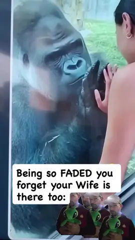 #zoo #apes #jealous #fyppppppppppppppppppppppp #cute 