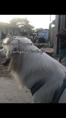 သဘောပေါက်#foryou #moots? #foryoupage #fppppppppppppppppppppppp❤️ 