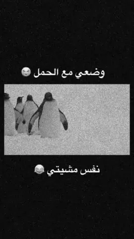 اي والله مين متلي 😢😂 #معاناتي😩😪😪🥺🥺🥺 #حوامل_اي_شهر_صرتو_🤰🤰😍🦋#وضعي_مع_الحمل🙂😪 #نفسيتي_مع_الحمل🙂🤰🤍 #ادعولي_اقوم_بي_السلامة🥰 