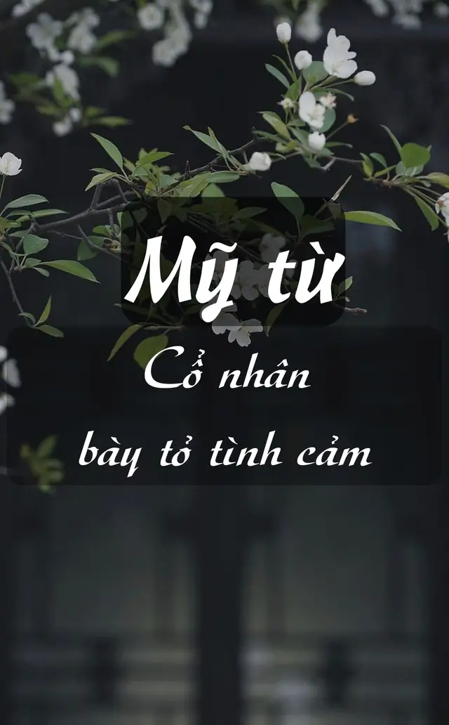 Nguyện đắc nhất tâm nhân, Bạch đầu bất tương ly. Dịch nghĩa: Nguyện được người một mộng, Bạc đầu không chia lìa. #tuha80203002 #tinhyeu #camxuc #nghethuat #chialy 