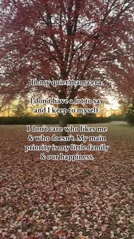 I just want contentment🫶🏼 #quietmamaera #MomsofTikTok #blessed 