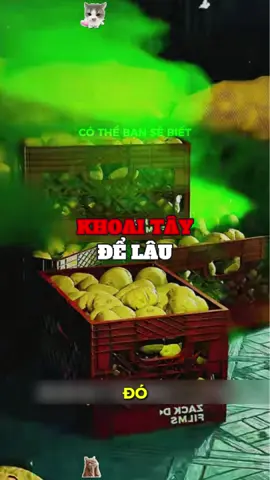 khoai tây có hại #cothebansebiet #xuhuongg #khoaitaychien 