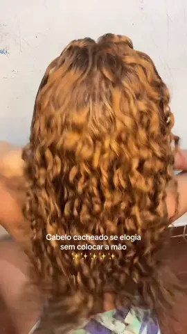 Repitam comigo🗣️💆🏼‍♀️ #cabelolongo #cacheado #cabelocacheado #curlyhair #cabelossaudáveis 