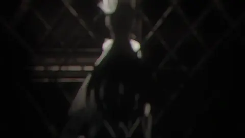 | #VITA х #SPARKLE || лее || #hi3 #hsr #stealmybloodandstealmyheart 