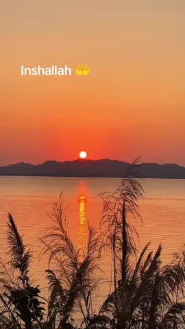 inshallah####❤️❤️❤️❤️❤️❤️❤️❤️❤️❤️❤️❤️❤️❤️❤️❤️ 