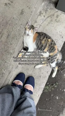 Liat kucing gak gerak buat beberapa kali take aja happy 💃🏻