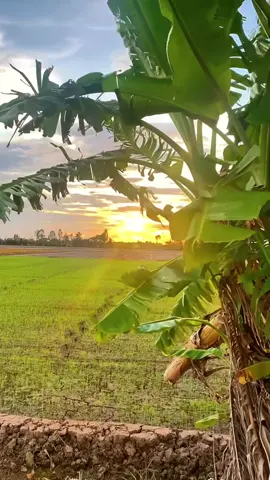 bình yên 🌾🌾🌻🌻🪻🪻