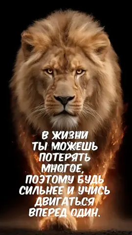 #CapCut #🔥🔥🔥в🔥р🔥е🔥к🔥и🔥🔥🔥 #🔥🔥🔥💯💯💯🔥🔥🔥 #р🔥е🔥к🔥о🔥м🔥е🔥н🔥д🔥а🔥ц🔥и🔥и 