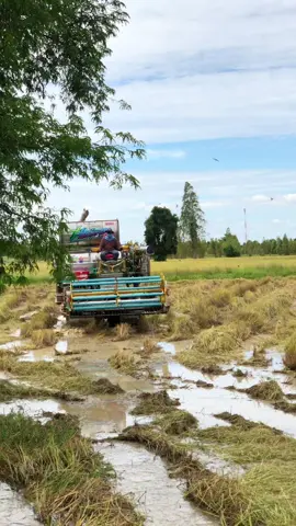 #ไทยเจริญการช่าง #วัยรุ่นอยุธยา #เข้ไล่ #อย่าจื๋อ 