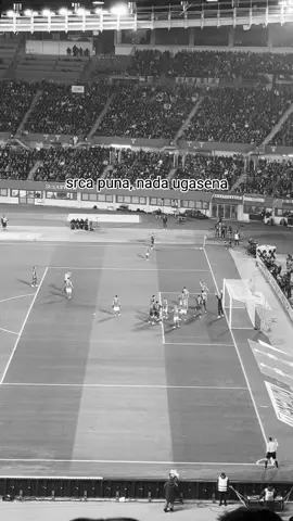 #fyp #fyp #fyp #bosnia🇧🇦 #austria @111🤎 @Inelaaa @pribbaa_19 