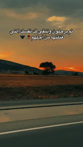 #خلص_روحي_صبرها_وانت_ماجيت😔💔 #قونيا_علاءالدين #الشعراء_وذواقين_الشعر_الشعبي #محمود_الياسر #ستوريات🖇️🎬 