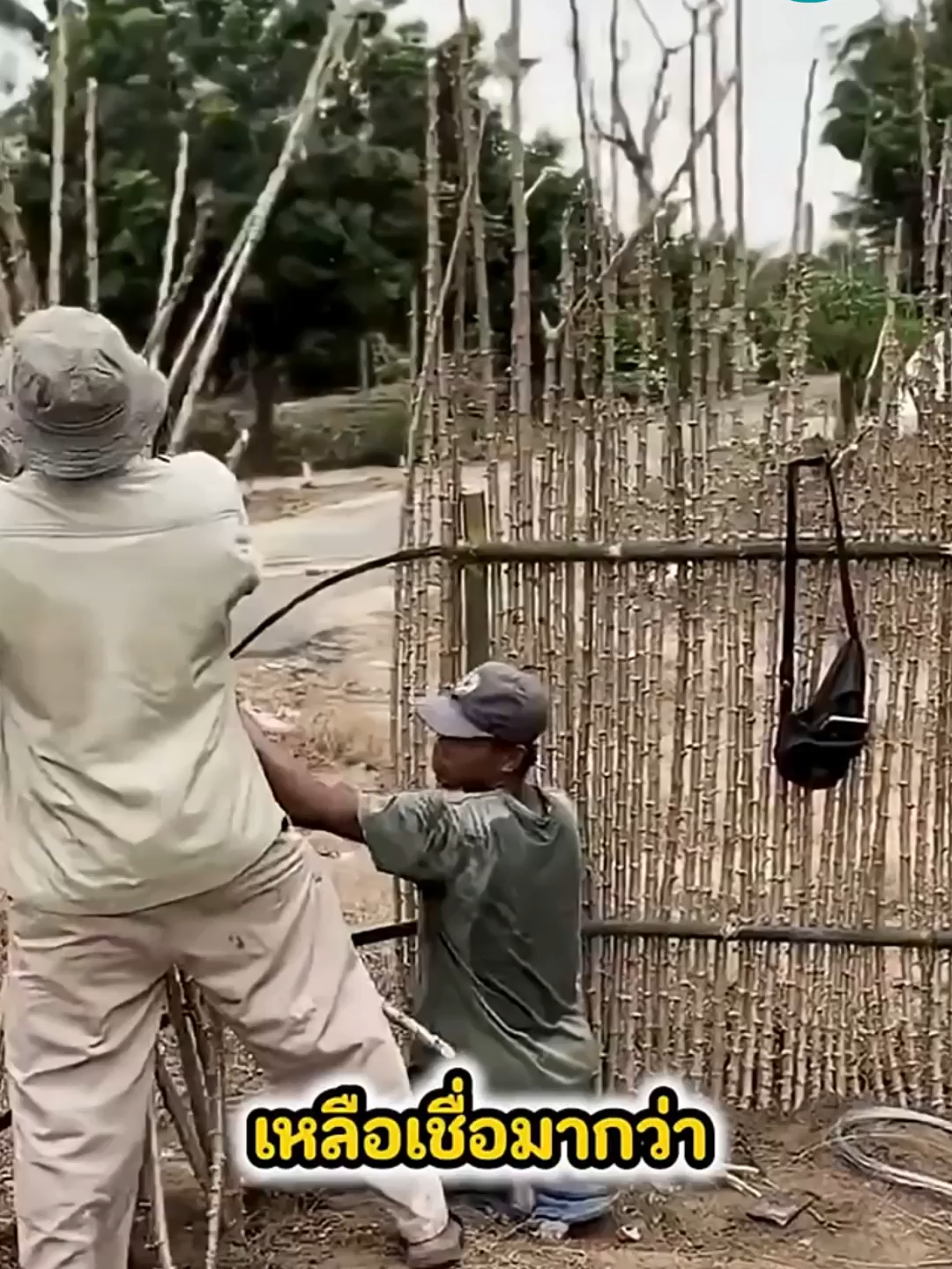 เกษตรกรปลูกมันสำปะหลังเพื่อทำเป็นรั่ว #สาระน่ารู้ #เล่าเรื่อง #fyp #ขึ้นฟีดเถอะ