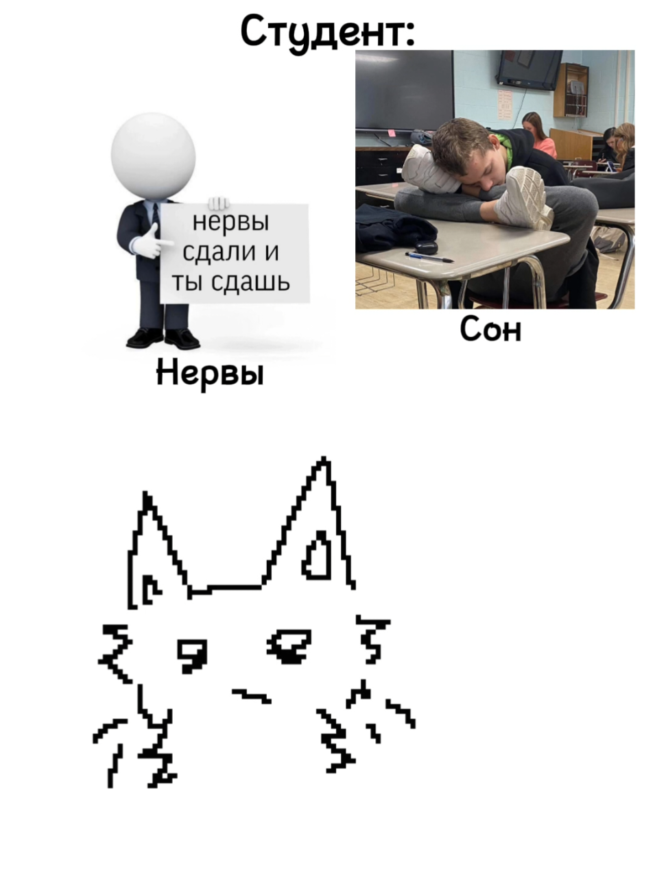 #студент #кот #покойвбогатстве #мем #анимация #арт #fyp #fypage 