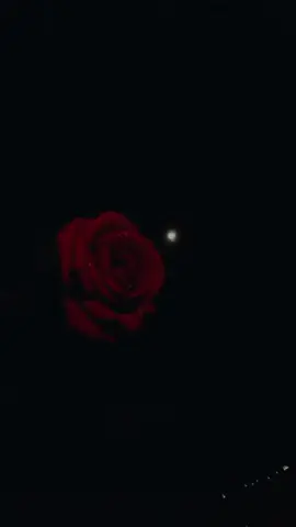 🤧🥀#foryoupageofficiall #CapCut #unfrezzmyaccount #viralvideo #foryou 