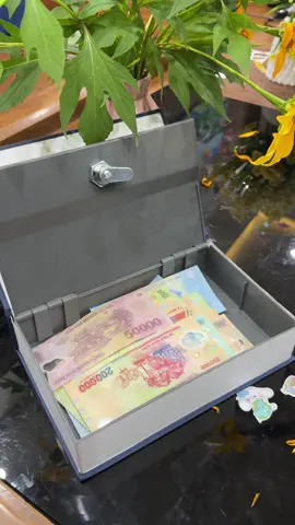 Két sắt tiết kiệm tiền nguỵ trang #ketsat #ketsatnguytrang #ketsatdungtien  