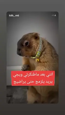 #هههههههههههههههههههههههههههههههههههههه #شعب_الصيني_ماله_حل #العراق 