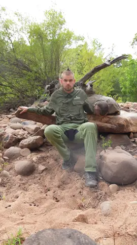 OWG kontynuacja przygód #dc #viral 