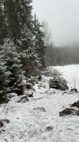 #fypシ゚ #зима 