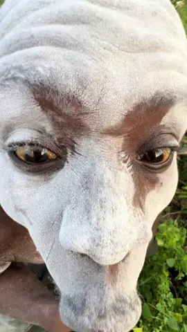 #ahoufe_ #viral #trending #fyp #trend 