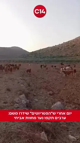 יום אחרי שתוכנית ה״פטריוטים״ שודרה משם: ערבים תקפו נער בחוות אביחי שבשומרון 