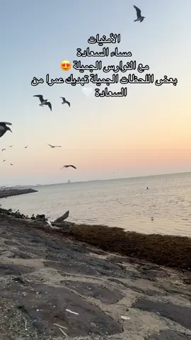 #creatorsearchinsights #تصويري📸اكسبلوور😍📸اكسبلوور 