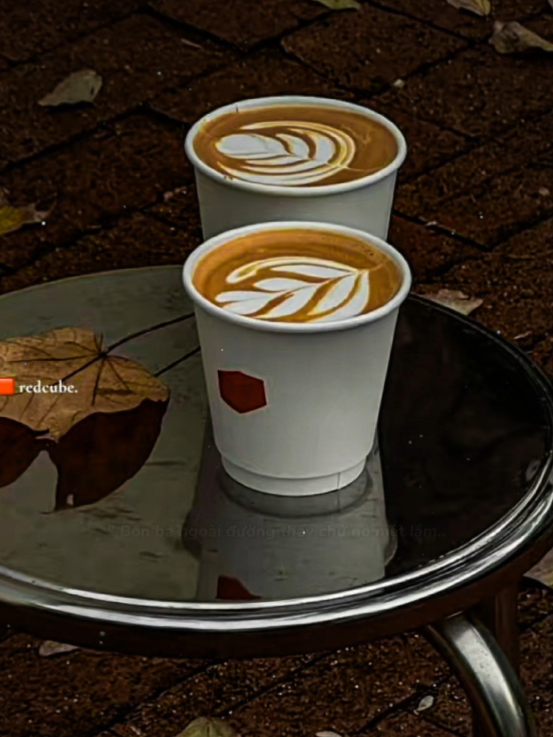 Bồn bả ngoài đường #nhacbuontamtrang #tamtrangbuon #tamtrang #xuhuong #tramcodoc3004 