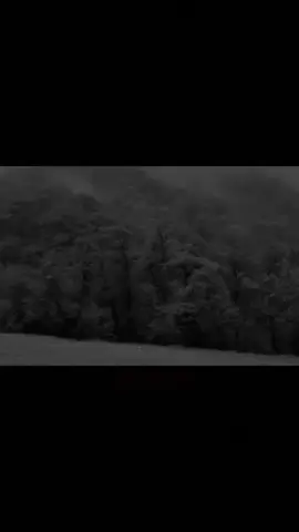 بیستومە ئەڵێن هەموو شتێک کاتی خۆی جوانە بەڵام تۆ هەمو کات جوان بووی! #foryoupage #foryou #malii_51 #fyp #moein @TikTok 