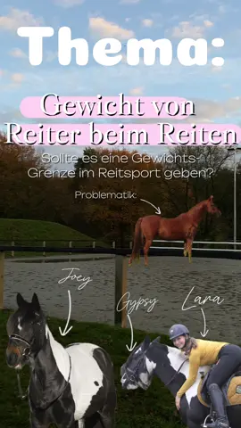 Wie würdet ihr euch politisch einordnen? Frage von @cfb_ dressage geklaut🤍 #politik #foryou #viral #pferd #equestrian 