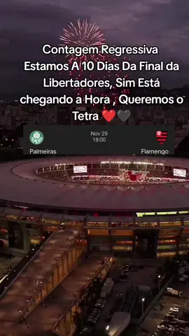 Só Deus Sabe O Quanto Eu Quero Esse Tetra ❤️🖤  #flamengo #foryoupage #finallibertadores #libertadores #futbol⚽️ 