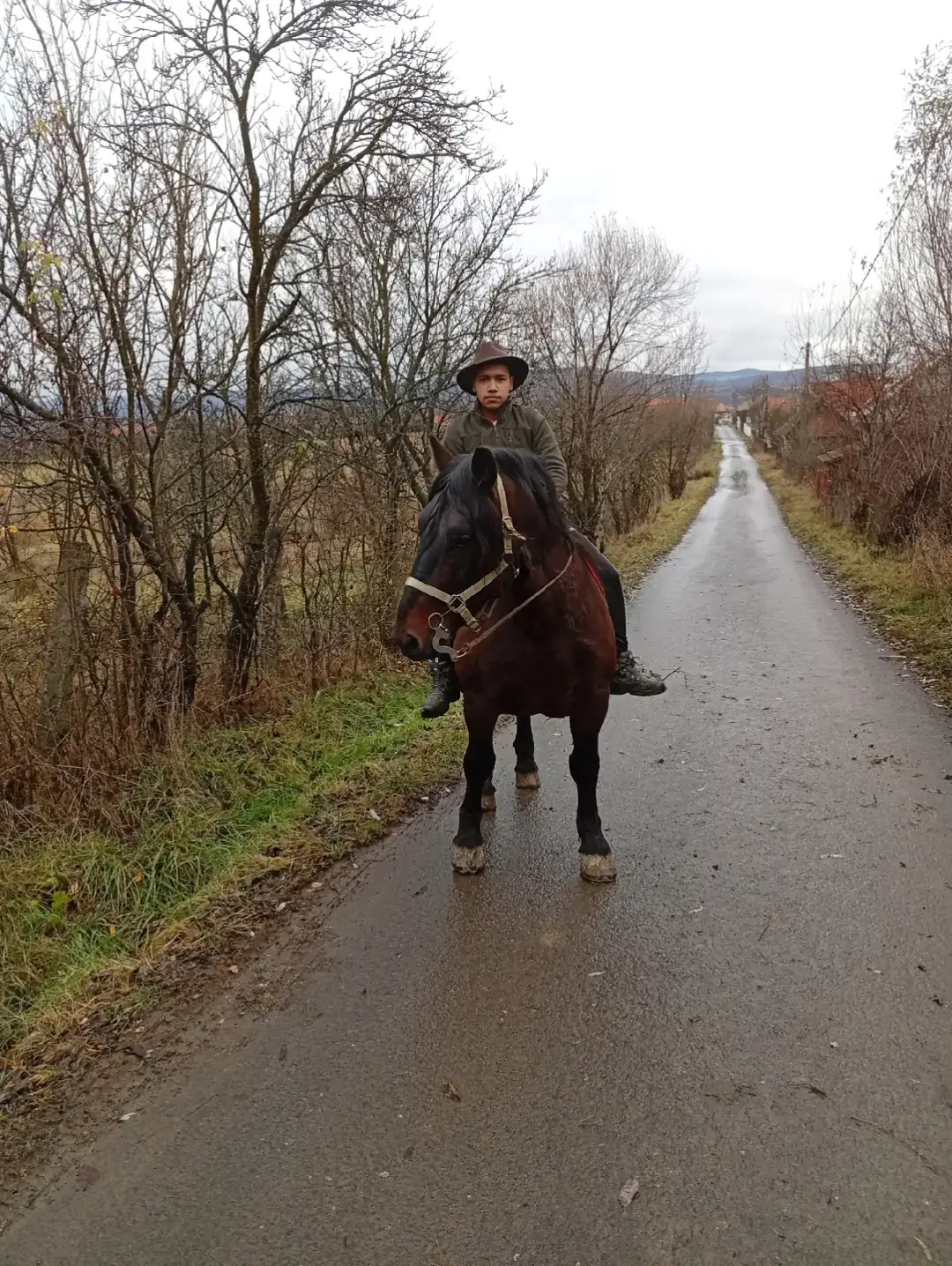 #betyar💪❤️ #armasarumeudesuflet #top #horse #cai 