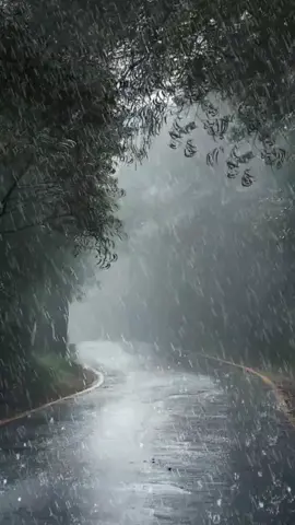 #creatorsschachinsights #خواطر #اقتباسات #كلمات_لها_معنى 