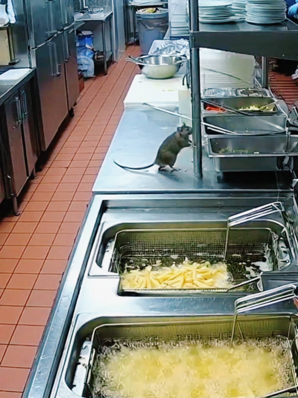 Restaurante não mencionado.#batata #batatafrita#restaurante #restaurant #comida 