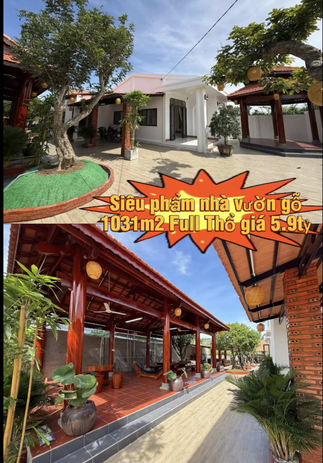 Bán Siêu Phẩm Nghĩ Duỡng ở Long An 1031m2 Full Thổ giá 5.9tỷ , đường xe oto thông thoáng #huyentrangthaibds #nhavuonnghiduong #nhavuonlongan #xuhuong #yenkhuongbds 