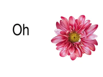 #speedsong #speedupsongs #nightcore #lyrics #fyp  @speed songs | lyrics 