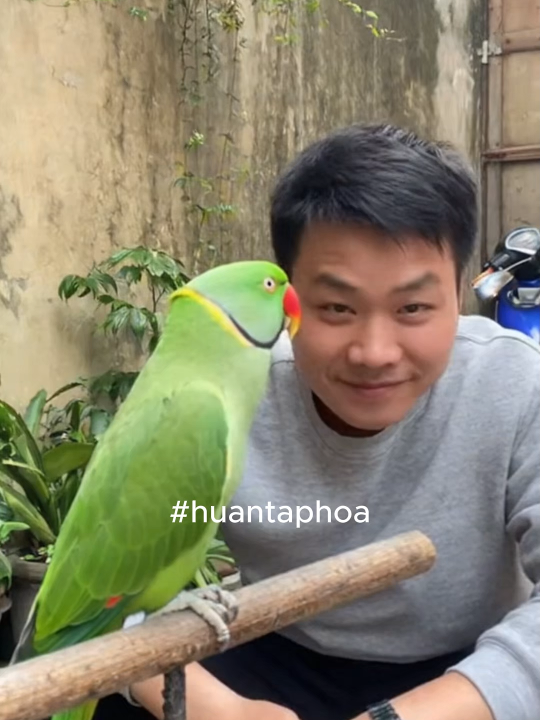 Chim đòi quà #huantaphoa