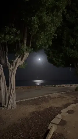 #هواجيس_لانهائية 