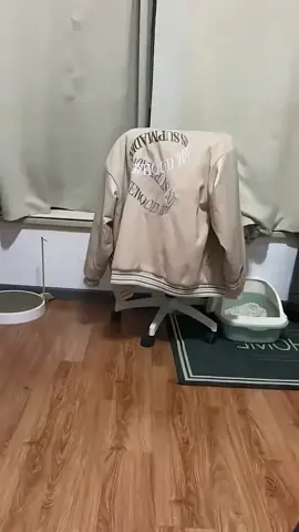 #cats #funnyanimals #animals #pets #PetsOfTikTok 