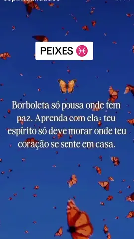 Deve ser maravilhoso a sensação de ter para onde voltar depois de um dia ruim! 🌹🔱🌊⚔️☀️🌙🦋♓❤️ #peixes♓️ #yemanja #peixessigno #signodepeixes #piscianos 