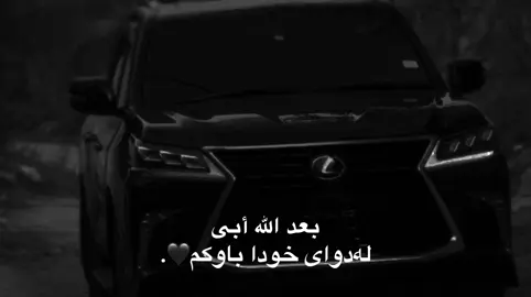 #dano_avalon @TikTok ACc?