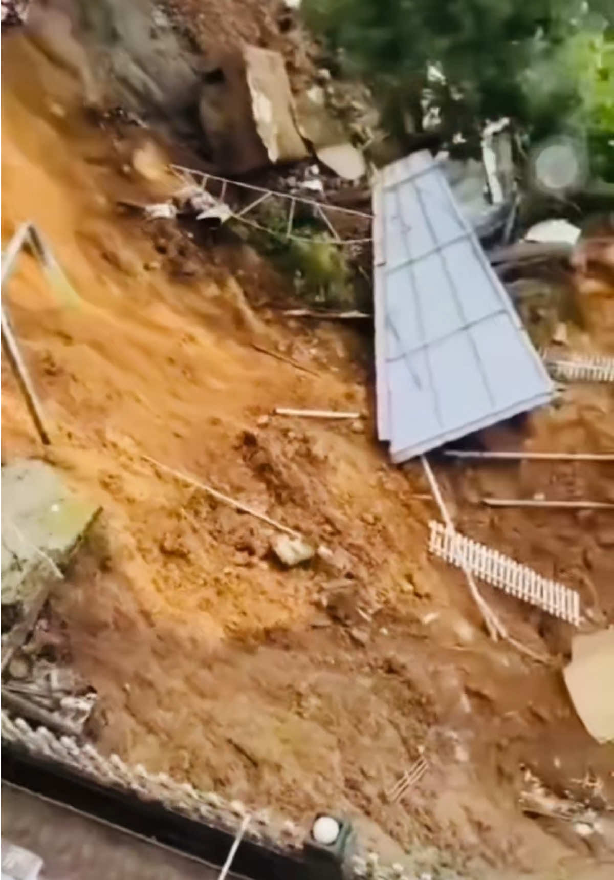 “Tiền có thể mua được nhiều thứ, không mua được lương tâm và sự thật.” #nguyenphuonghang #phuonghang #dainam #foryou 