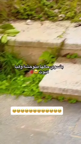 #اكسبلور #بنوتات #شعب_الصيني_ماله_حل😂😂 