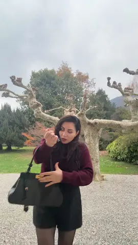 De tas … hoe staat ie 🥹❤️ #fyp #outfit #OOTD #como 