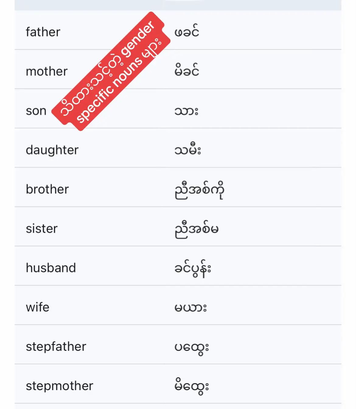 ကျား မ ပေါ်မူတည်ပြီးကွဲပြားသွားတဲ့ nouns တွေလေ့လာကြည့်ရအောင်?  #yourenglishteacherSu #foryoupage #fyp #englishlesson #teachersoftiktok 
