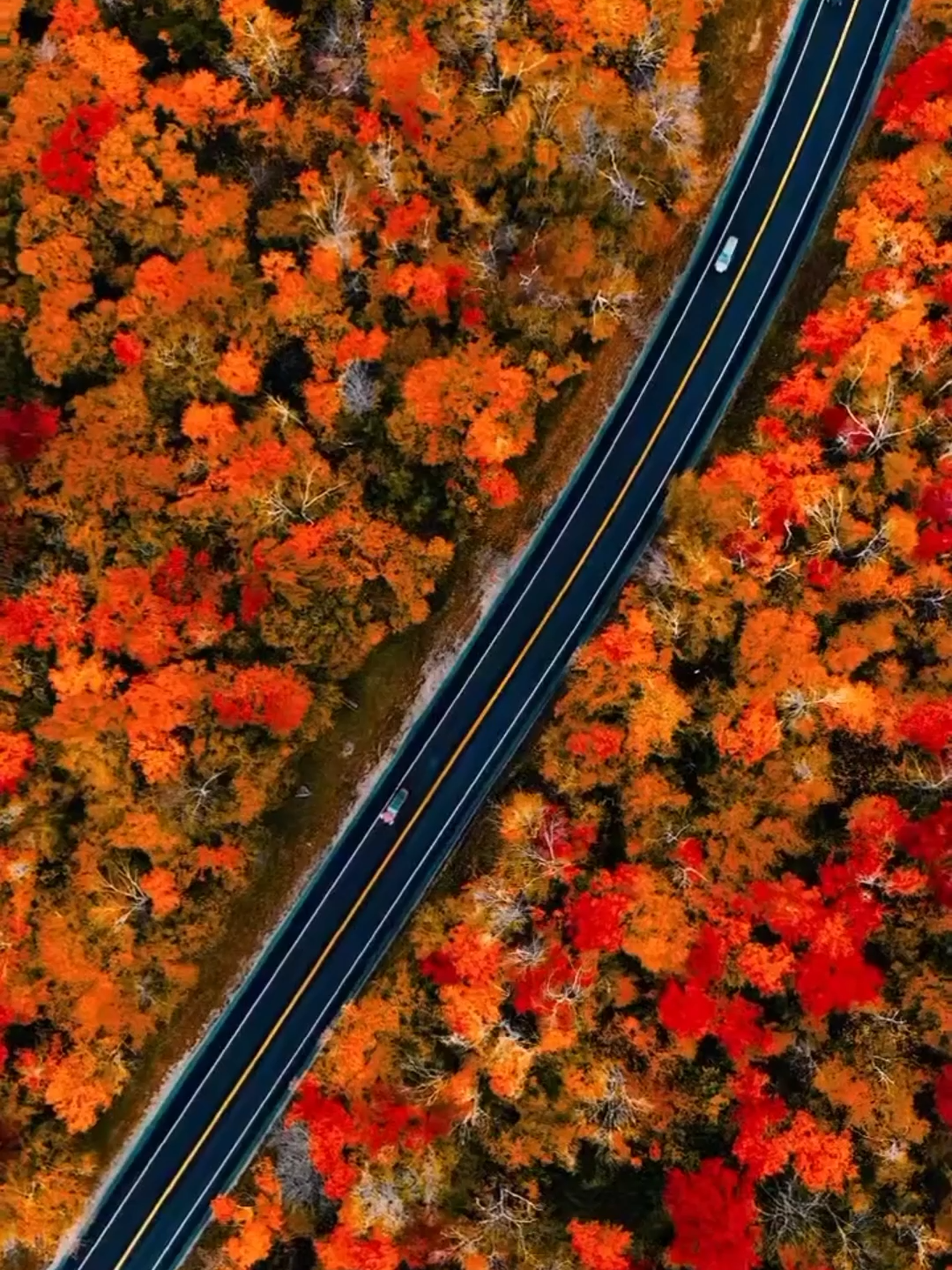 Không thay đổi được người khác thì hãy thay đổi chính mình.  Bởi: 