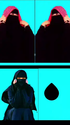 #🌹🌹🌹🌹 #🌹🌹🌹🌹 