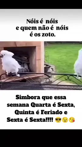 #humor #meme #fypシ #videoviral #shorts 