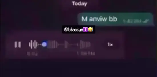 Manviw bb 😂😩😭  #viral #VoiceEffects #blag #voice 