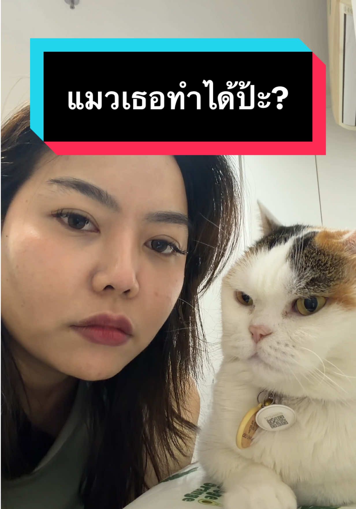 วันนี้มาขิง #มูมินแมวเหนียง #เดอะพลอย #แมวน่ารัก #cat #catsoftiktok 